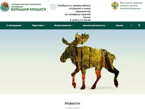 Большая Кокшага