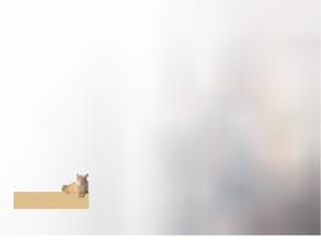 Департамент ипотечной оценки