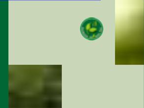 Формоза-Чай