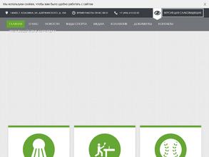 СШОР по игровым видам спорта