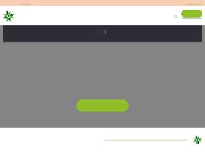 Лесная сказка