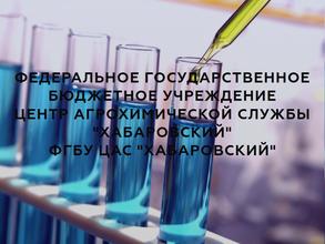 Хабаровский