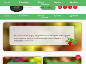 Ягодная республика