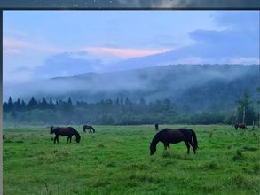Байкальский центр ездового спорта