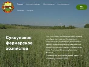 Суксун-Маркет