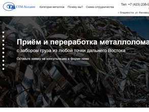 Стм-холдинг