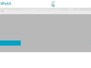 Сервис-Река