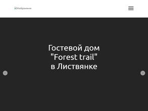 Forest trail