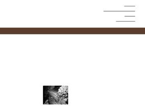 Ритуальная Городская Служба