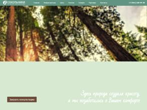 СОКОЛЬНИКИ