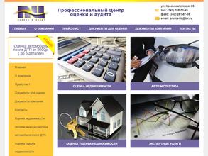 Профессиональный центр оценки и аудита