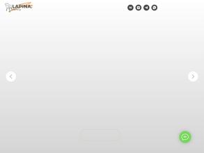 Lapina.family