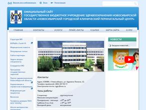 Новосибирский городской клинический перинатальный центр