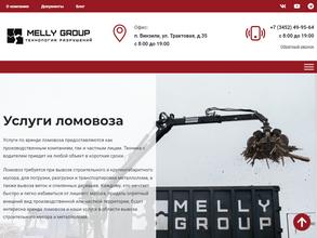Мелли Групп