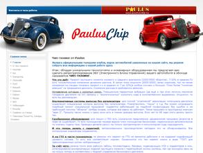 Паулюс-чип Пенза