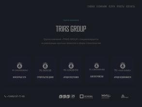 Триас групп