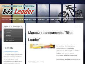 Bike Leader