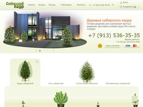 Сибирские кедры