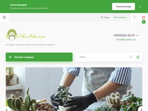 Фикус Пикус