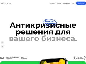 Napoleon IT