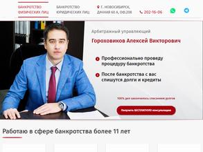 Арбитражный управляющий Гороховиков А.В.