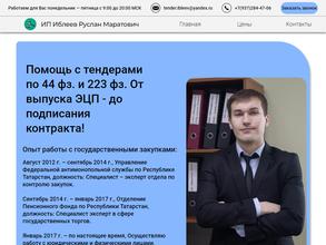 Компания по сопровождению и участию в тендерах