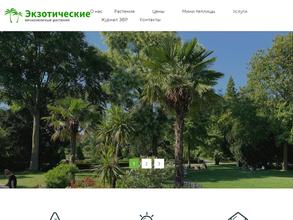 Экзотические Вечнозеленые Растения