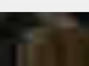 Золотой лев