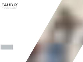 FAUDIX