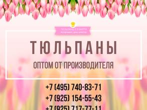 Оптовая компания по продаже цветов и посадочного материала