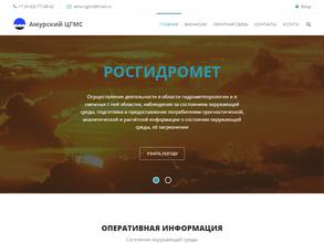 Амурский центр по гидрометеорологии и мониторингу окружающей среды