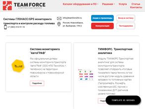 Тимфорс-Сервис