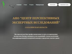 Центр перспективных экспертных исследований