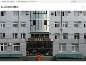 Шалинская центральная районная больница
