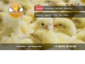 Компания по продаже суточного молодняка сельскохозяйственной птицы