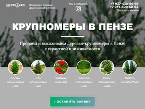 Крупномер Пенза