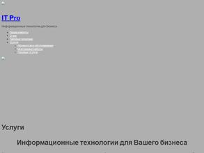 Выездная IT-компания