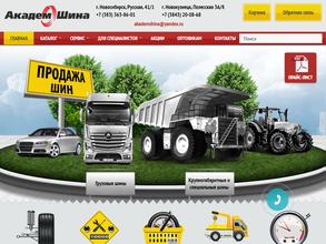 АкадемШина