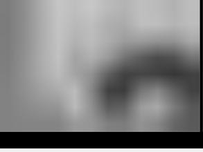 Оценщик и судебный эксперт Попов Илья Александрович