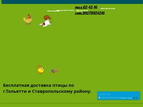 Пискаревская птицеферма