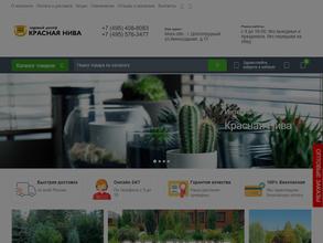 Красная Нива в Долгопрудный