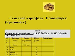 Дачный сезон