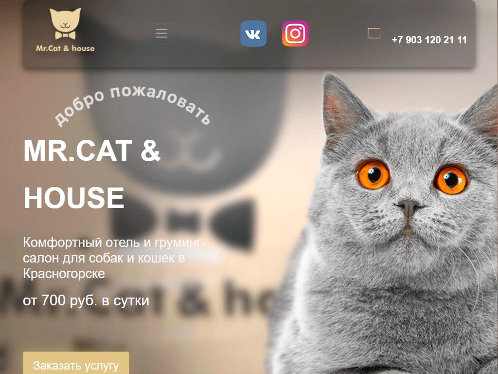 Хаус инн. Mr Cat.