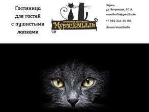 Мурзиквилль