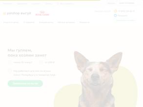 Petshop выгул