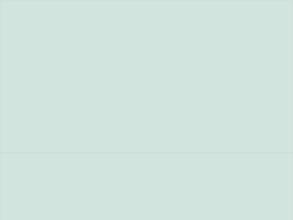 Развивастик