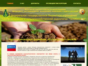 Челябинский