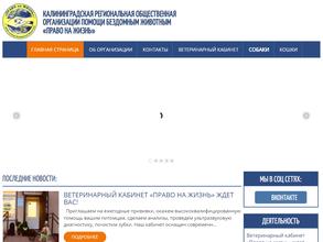 Право на жизнь