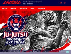 Школа джиу-джитсу