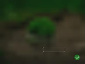 Брянск Арбо